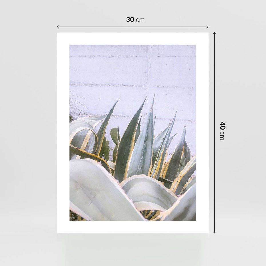 Plakat bez ramy 30x40 - Sukulentowe liście - liście, sukulenty