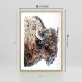 Plakat w ramie 50x70 - Obraz Dzikiej Przyrody w Śnieżnym Otoczeniu - żubr, śnieg - rama drewno