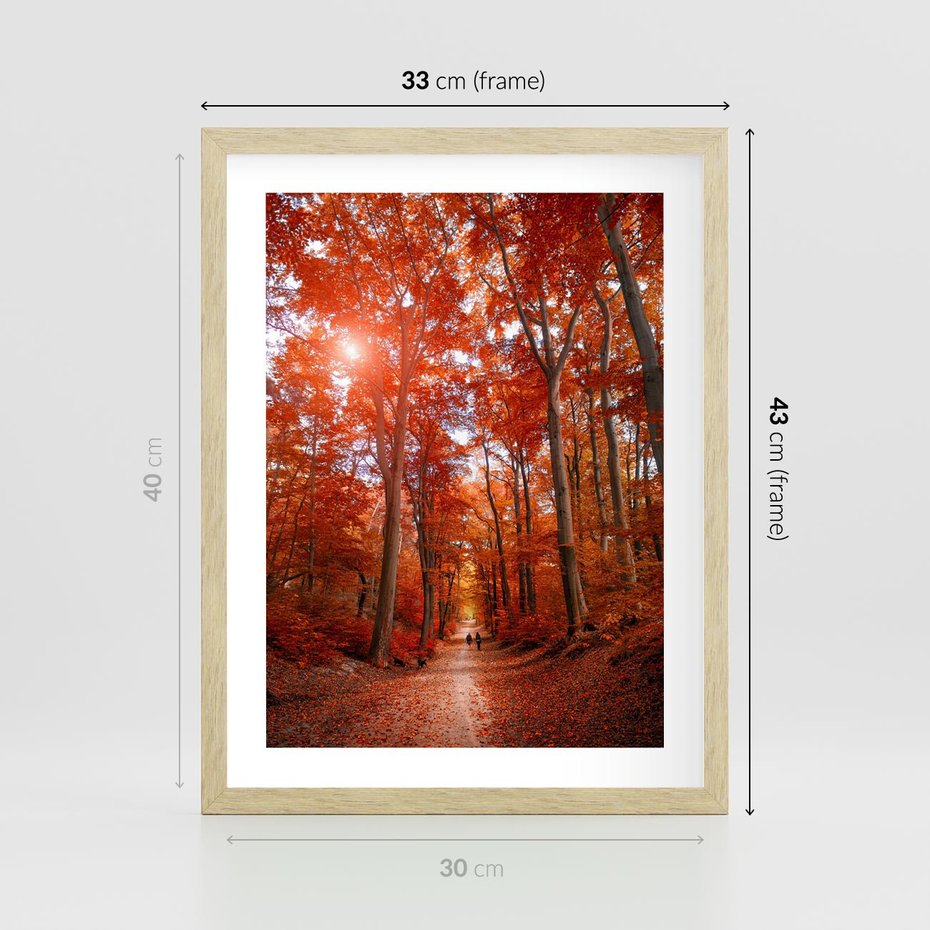 Plakat w ramie 30x40 - Magia jesiennego lasu - las, jesień - rama drewno