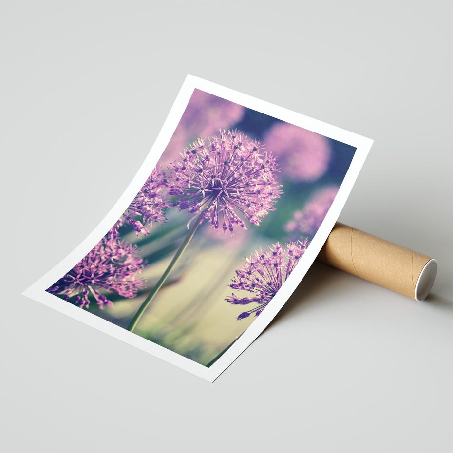 Plakat bez ramy 40x50 - Kwiatowa łąka w pełnym rozkwicie - kwiaty, łąka