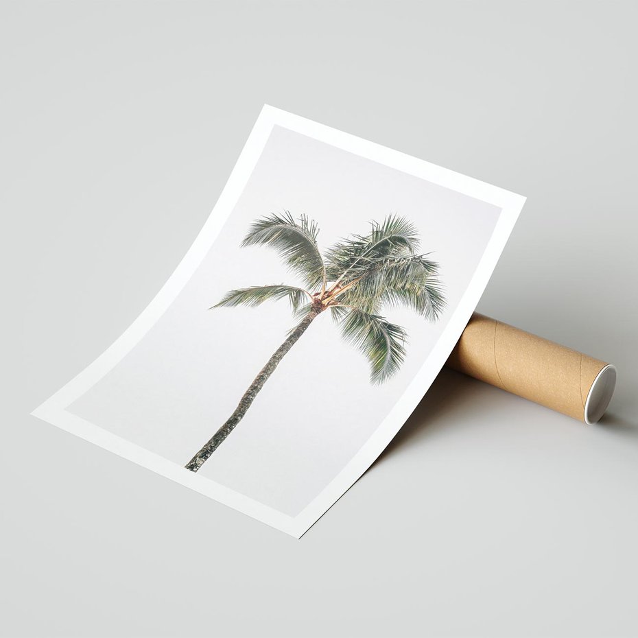 Plakat bez ramy 30x40 - Wakacyjne Marzenia - palma na tle nieba