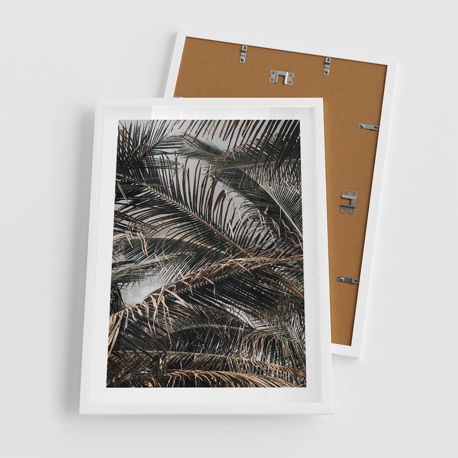 Plakat w ramie 50x70 - Liściaste Palmy - palmy, drzewa palmowe - rama biała