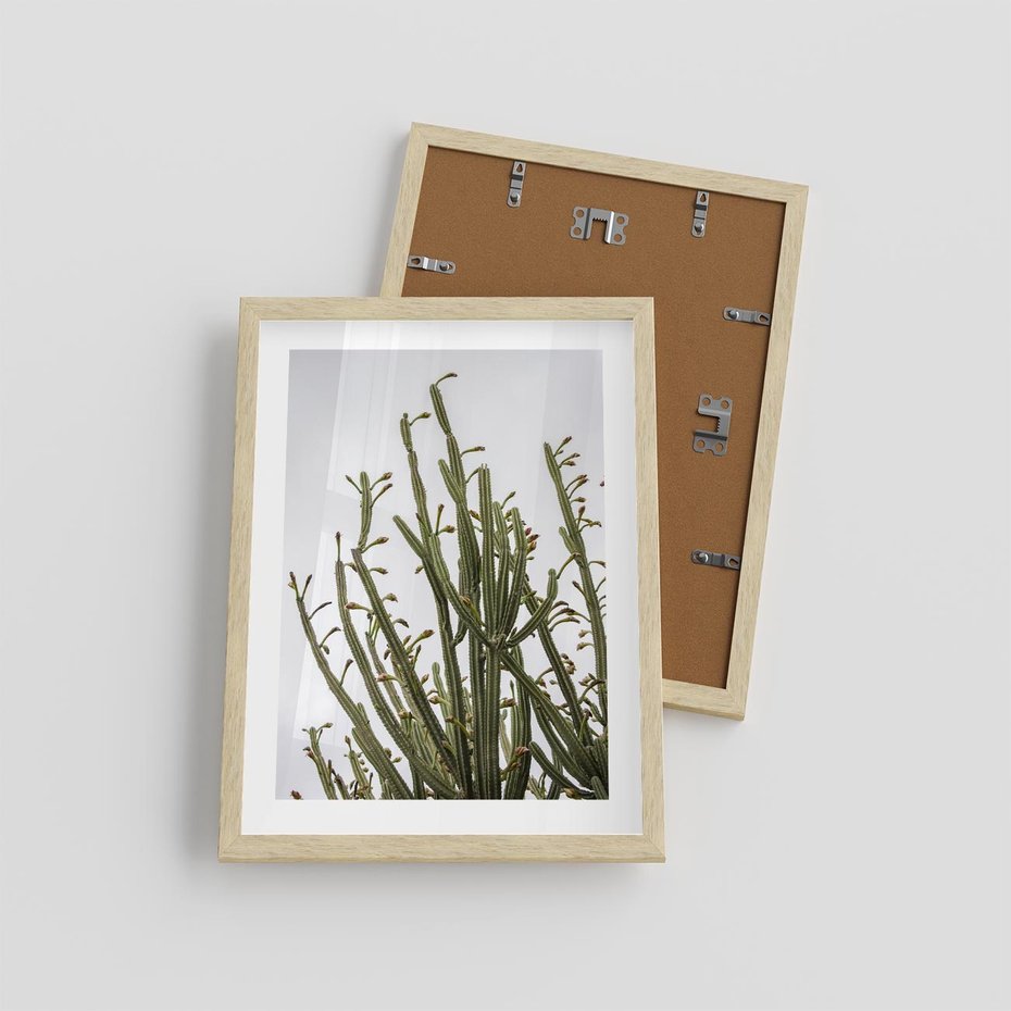 Plakat w ramie 30x40 - Ekskluzywna Roślinność - kaktusy, liście - rama drewno