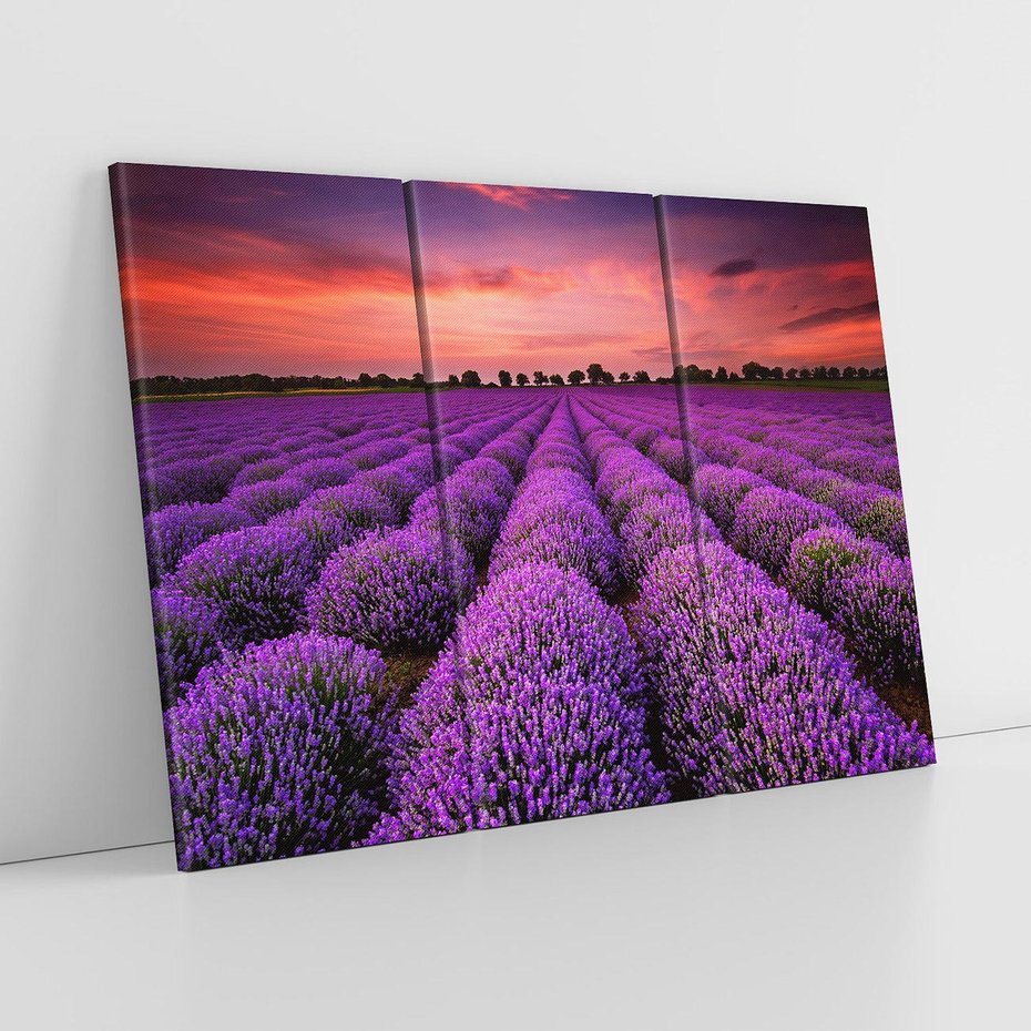 Obraz na płótnie 120x80 - Lawenda: polne zauroczenie - lawenda, kwiaty