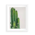Plakat w ramie 40x50 - Minimalistyczne Kaktusy na Białym Tle - kaktusy, minimalistyczna fotografia - rama biała