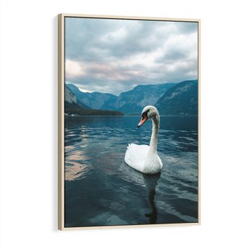 Obraz w ramie 50x70 - Łabędzi Śpiew - fotografia, plakat - rama drewno