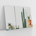 Obraz na płótnie 120x80 - Naturalna Harmonia - kaktusy, liście