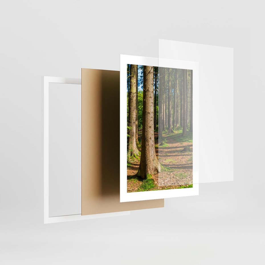 Plakat w ramie 30x40 - Las: harmonia natury - las, drzewa - rama biała