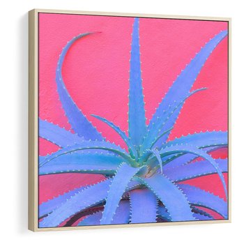 Obraz w ramie 50x50 - Piękno Pustyni - kaktusy, liście - rama drewno