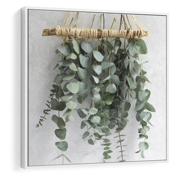 Obraz w ramie 80x80 - Uwodzicielska zieleń eukaliptusa - eukaliptus, zielone - rama biała