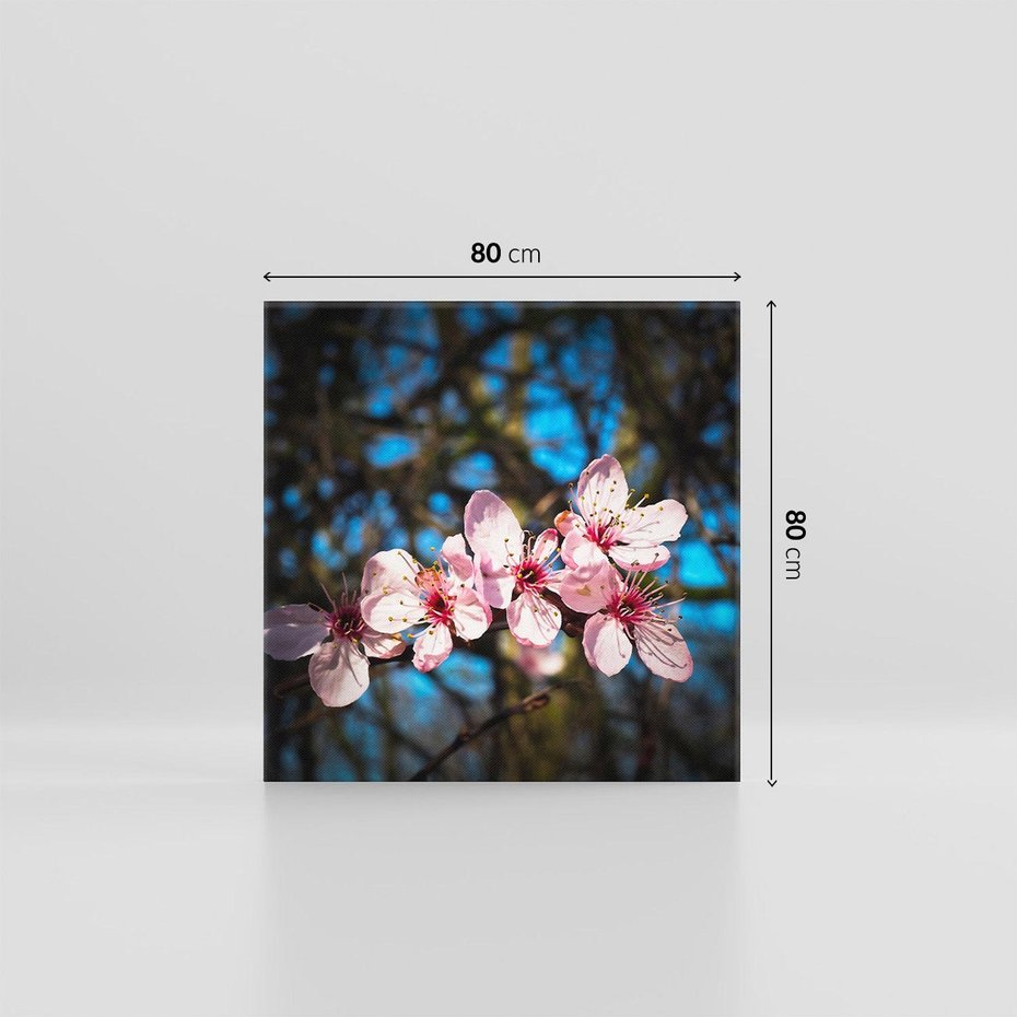 Obraz na płótnie 80x80 - Kwiatowe piękno w pełnym rozkwicie - kwiat, kwiaty