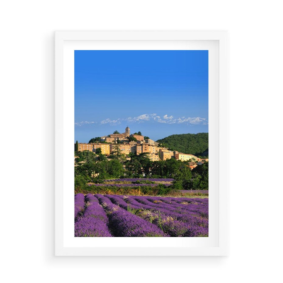 Plakat w ramie 50x70 - Prowansalska Aura - lawenda, Prowansja - rama biała