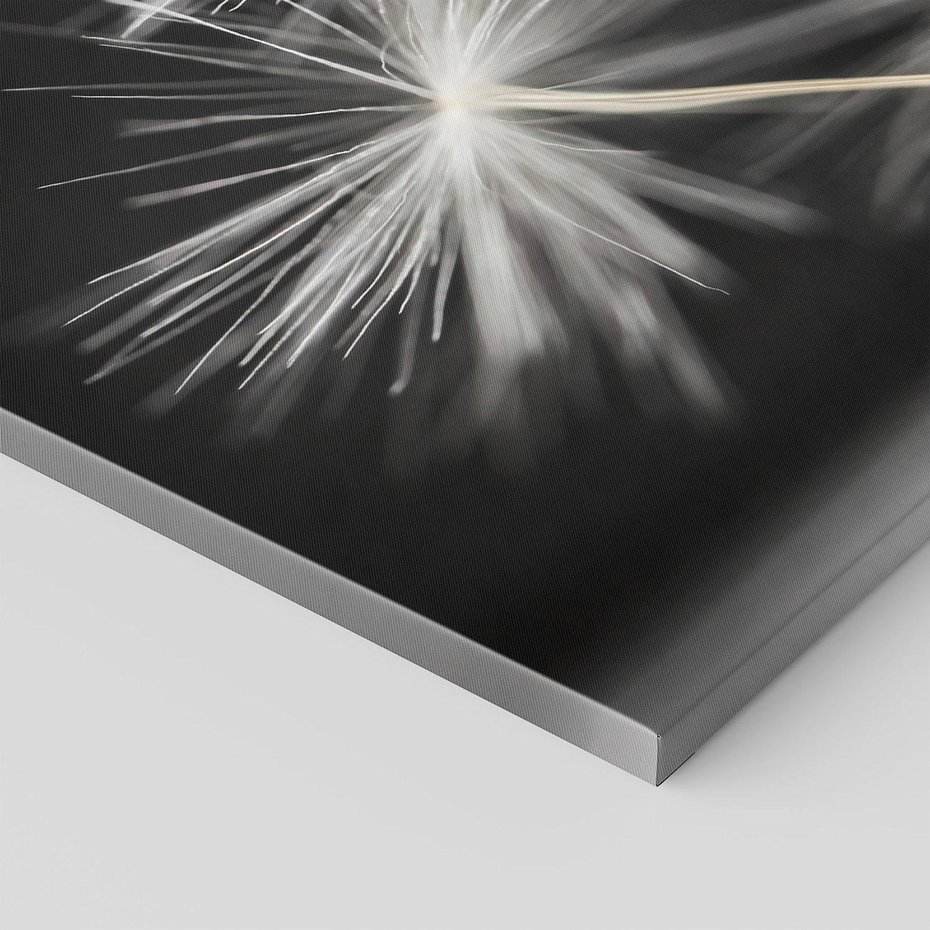 Obraz na płótnie 120x80 - Delikatność dmuchawców zbliżenie - dmuchawce, zbliżenie