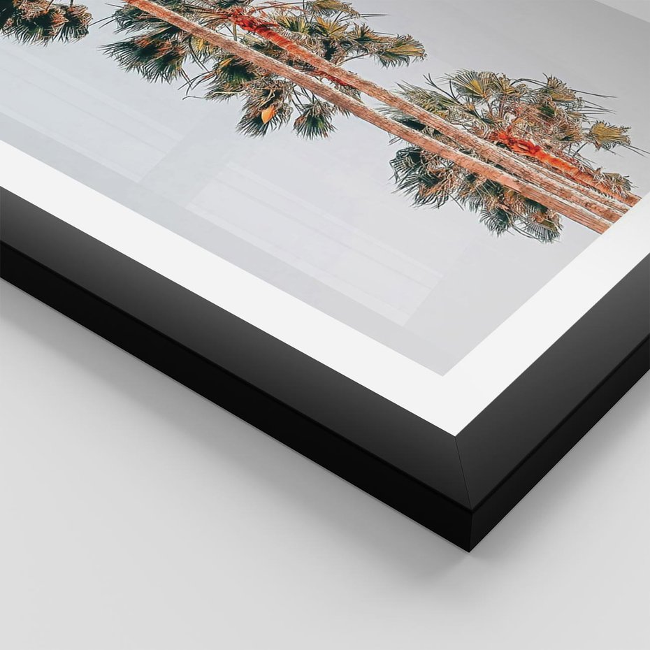 Plakat w ramie 30x40 - Kształty Palm - palmy, zdjęcie - rama czarna