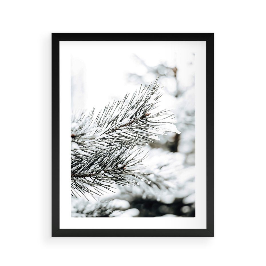 Plakat w ramie 40x50 - Chwila Zimowej Magii - iglasta gałązka, śnieg - rama czarna