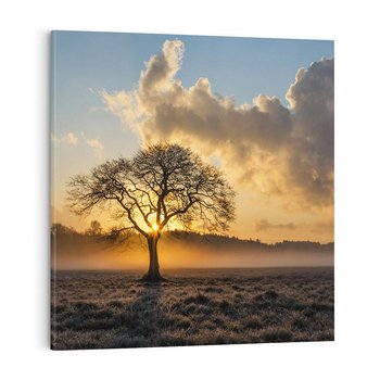 Obraz na płótnie 40x40 - Drzewo w mgle: Piękno jesiennego poranka - drzewo, mgła