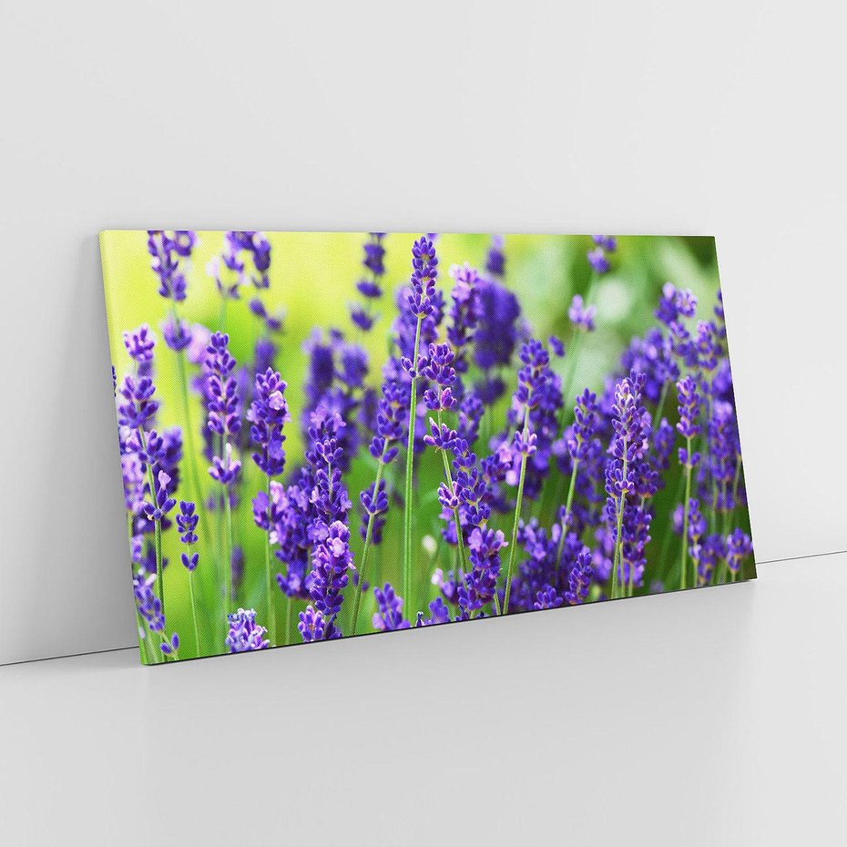 Obraz na płótnie 120x60 - Elegancka lawenda w pełnym rozkwicie - lawenda, kwiaty