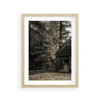 Plakat w ramie 30x40 - Dom w Lesie - chatka w lesie, górski domek - rama drewno