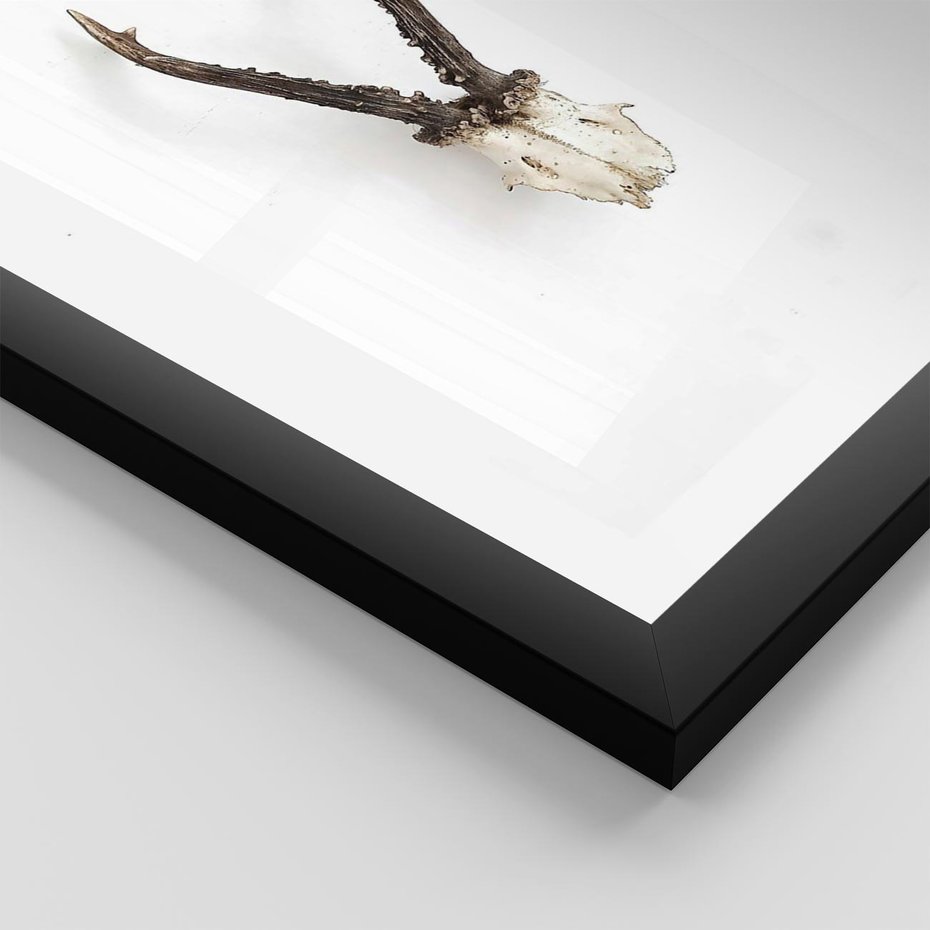 Plakat w ramie 30x40 - Minimalistyczne Poroże Jelenia - poroże jelenia na ścianie, minimalizm - rama czarna