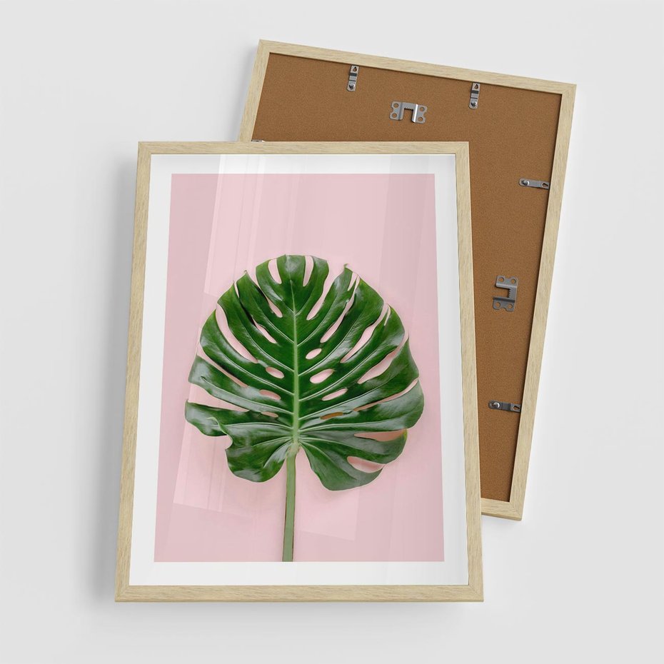 Plakat w ramie 50x70 - Monstera w Różowym Świetle - liść monstery, różowe tło - rama drewno