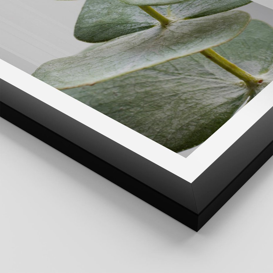 Plakat w ramie 30x40 - Eukaliptusowa zieleń - eukaliptus, zielone - rama czarna