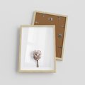 Plakat w ramie 30x40 - Suszona Roślina na Białym Tle - minimalizm, suszona roślina - rama drewno