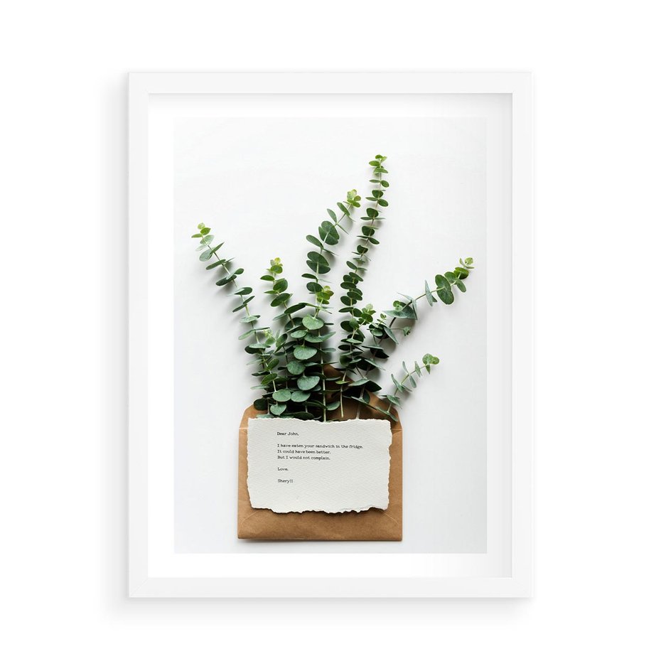 Plakat w ramie 50x70 - Eukaliptusowa harmonia - eukaliptus, liście - rama biała