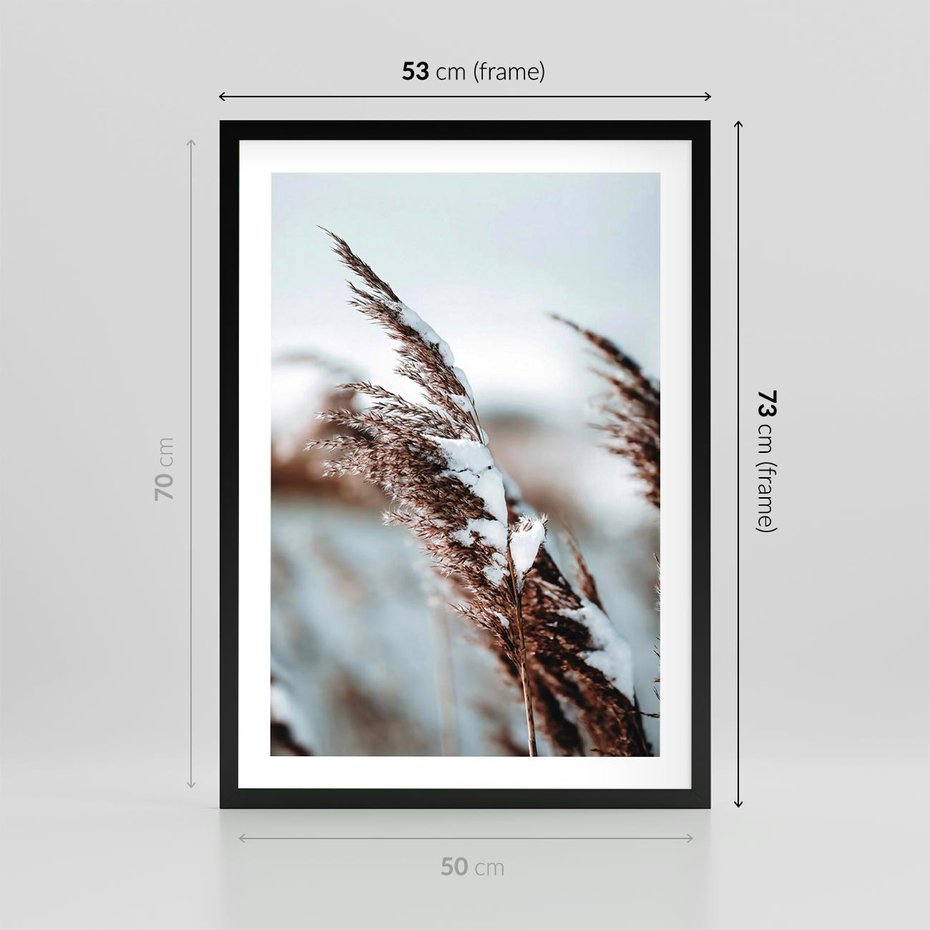 Plakat w ramie 50x70 - Zima na Suchych Trawach - suche trawy, śnieg wysokich na trawach - rama czarna