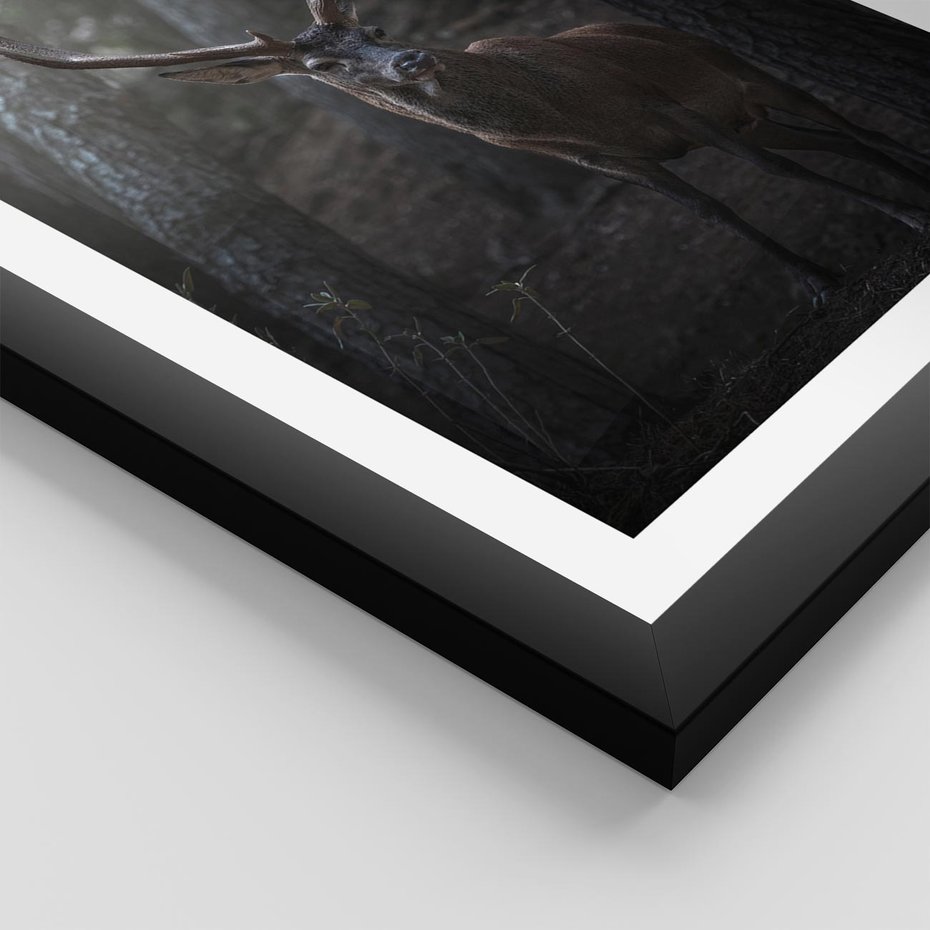 Plakat w ramie 30x40 - Jeleń wśród lasu - jeleń, las - rama czarna