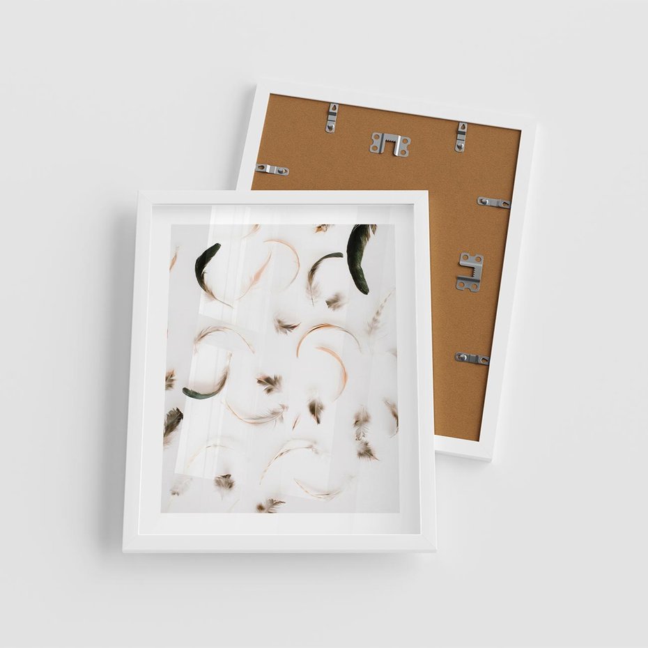 Plakat w ramie 40x50 - Kompozycja z Piór - pióra, kompozycja - rama biała