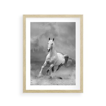Plakat w ramie 50x70 - Elegancja w Czarno-Białym - koń, biało - rama drewno