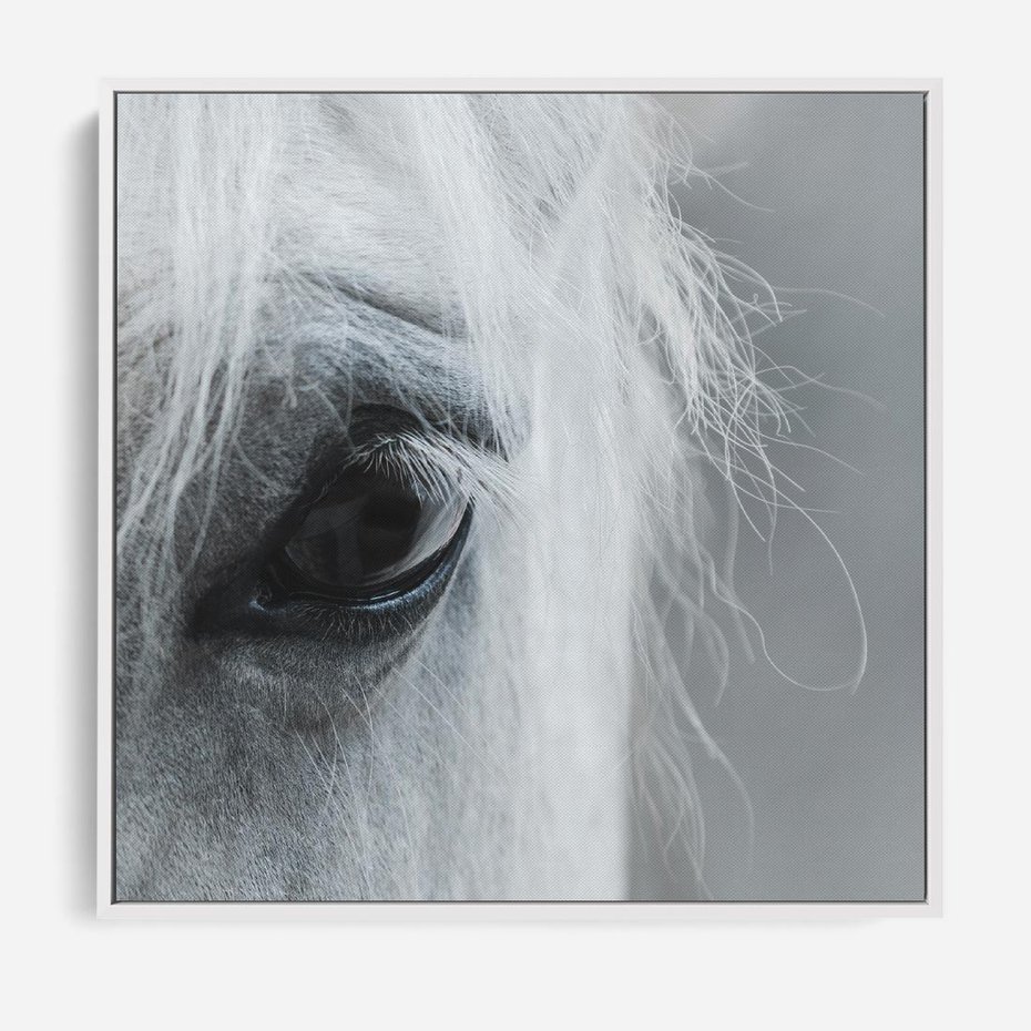 Obraz w ramie 50x50 - Oko Mocy - czarno białe zdjęcie, zbliżenie makro na oko konia - rama biała