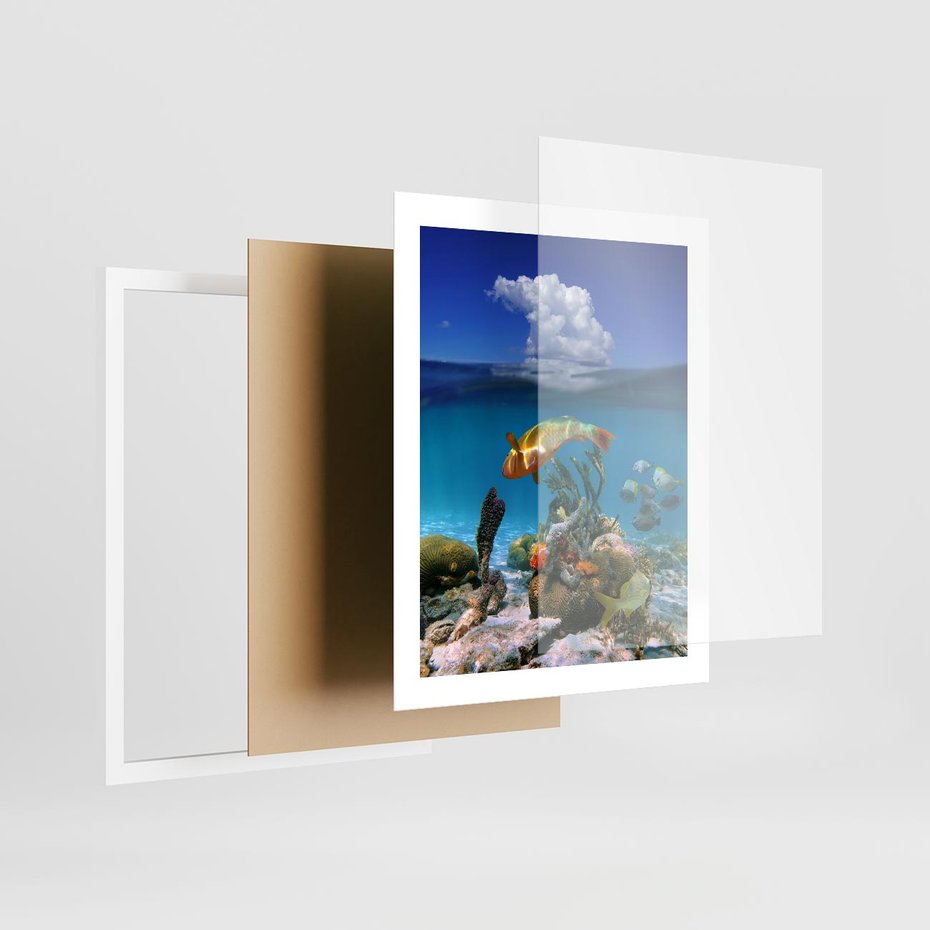 Plakat w ramie 40x50 - Podwodna rafa koralowa: kolorowy oceanowy świat - rafa, koralowa - rama biała