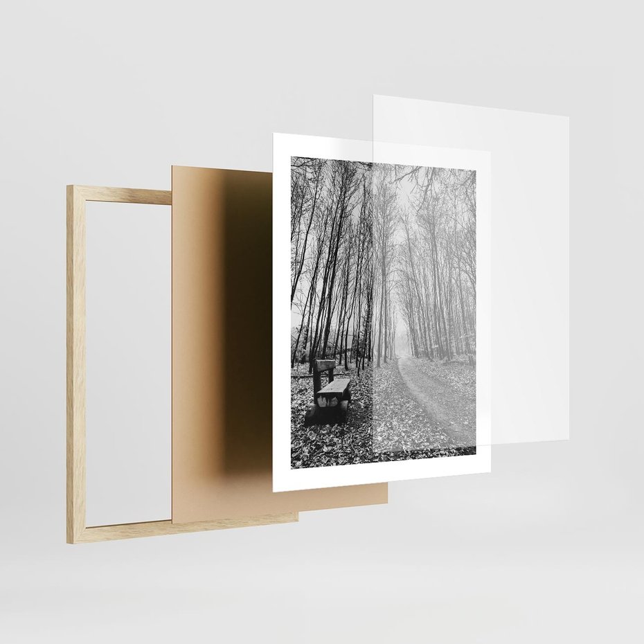 Plakat w ramie 40x50 - Spadające Liście - czarno białe zdjecie, park - rama drewno