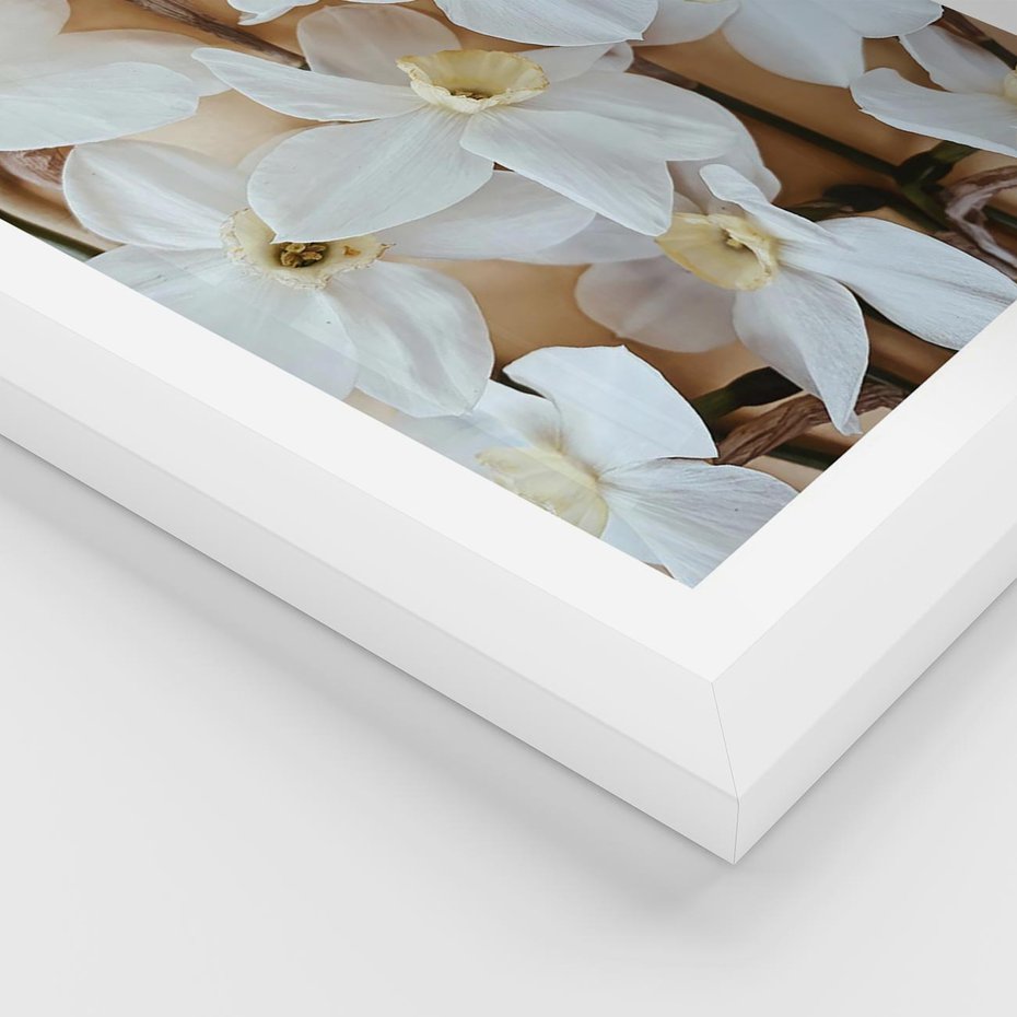 Plakat w ramie 50x70 - Białe Narcyzy - narcyzy, kwiaty - rama biała