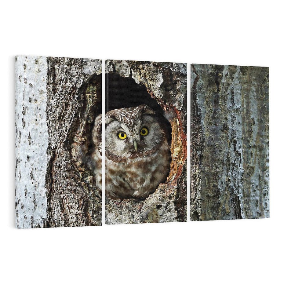 Obraz na płótnie 120x80 - Tajemniczy W świecie Nocy - sowa, dziupla