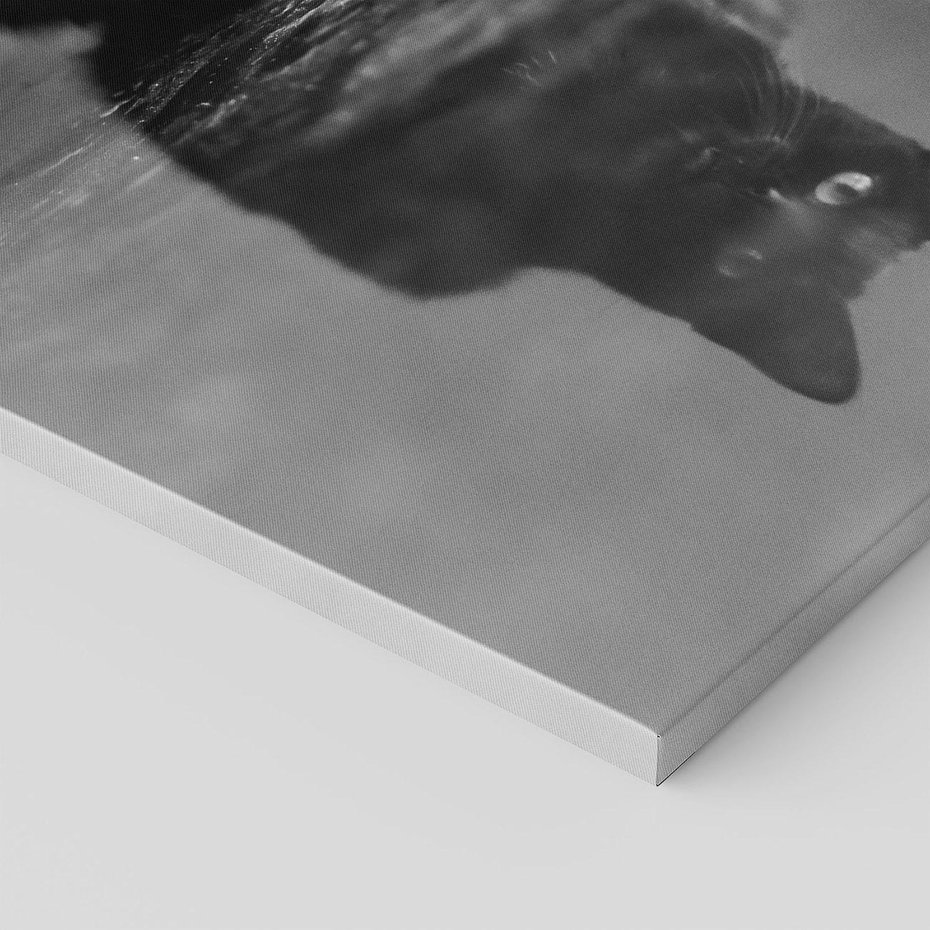 Obraz na płótnie 50x70 - Kocie Oczy - kot, czarno białe zdjęcie