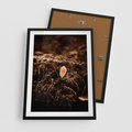 Plakat w ramie 50x70 - Gałęzie i Liść w Brązowej Tonacji - suche gałęzie, liść - rama czarna
