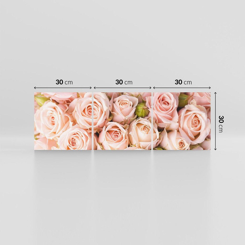 Obraz na płótnie 90x30 - Delikatność róż - piękno natury - róże, kwiaty