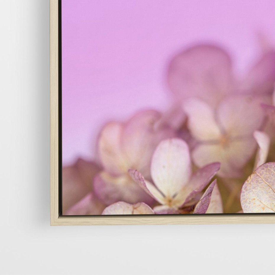 Obraz w ramie 80x80 - Kwiatowa Uroda - kwiaty, hortensje - rama drewno