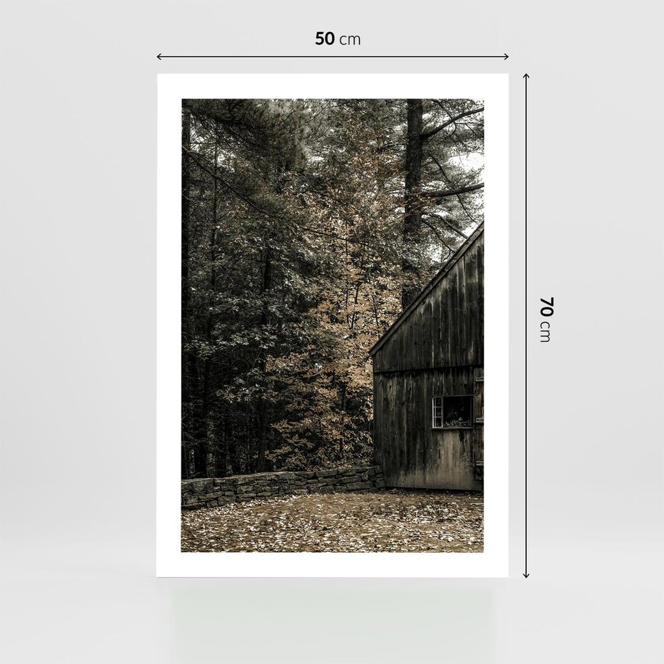 Plakat bez ramy 50x70 - Dom w Lesie - chatka w lesie, górski domek