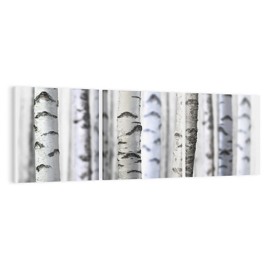 Obraz na płótnie 120x40 - Delikatność brzóz - brzozy, las