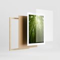Plakat w ramie 30x40 - Siła Natury - drzewa, las - rama drewno