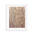 Plakat w ramie 40x50 - Suche Trawy w Wyjątkowym Stylu - suche trawy, boho styl - rama biała