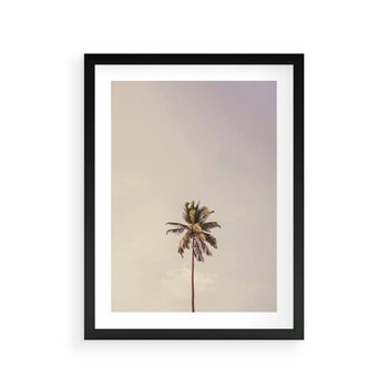 Plakat w ramie 50x70 - Samotna Palma pod Niebem - samotna palma, na tle nieba - rama czarna