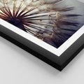 Plakat w ramie 40x50 - Makro piękno dmuchawca - makro, dmuchawiec - rama czarna