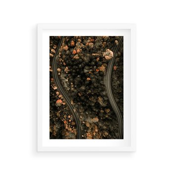 Plakat w ramie 30x40 - Las i Droga w Kolorach Jesieni - droga, ujęcie z góry - rama biała