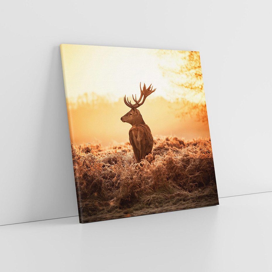 Obraz na płótnie 80x80 - Magia jesiennego słońca: Jeleń w promieniach - jeleń, jesień