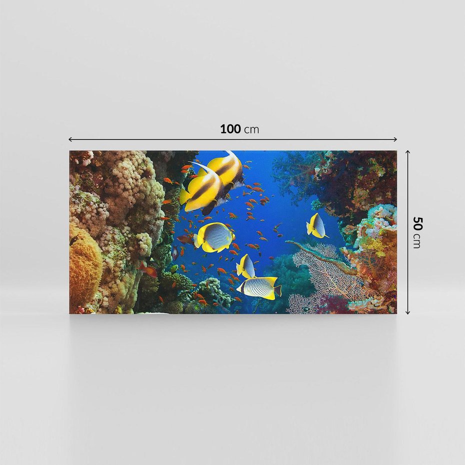 Obraz na płótnie 100x50 - Podwodne królestwo rafy koralowej - rafa, koralowa