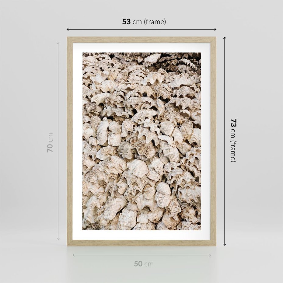 Plakat w ramie 50x70 - Symfonia Natury - kompozycja z białych muszli - rama drewno